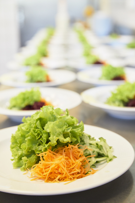 Fläckematte – Fundraising