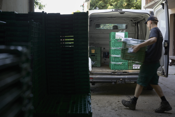 Gmues Matli – Juni 2024