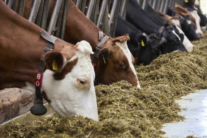 Bio Suisse – Jahresmedienkonferenz