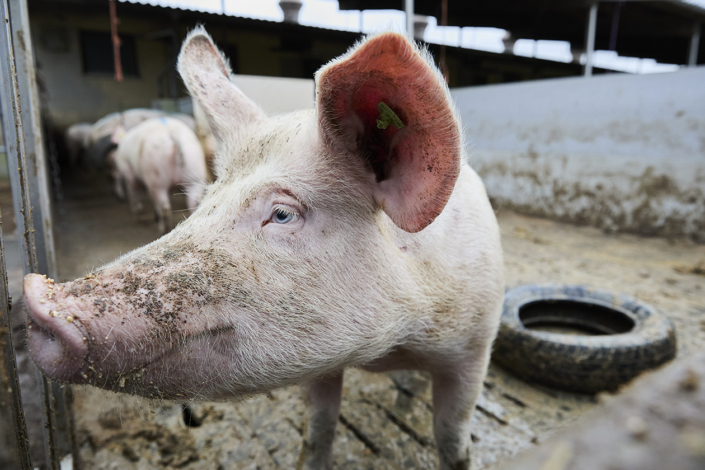 Bio Suisse – Jahresmedienkonferenz