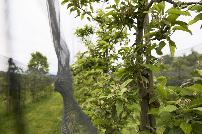 Bio Suisse – Jahresmedienkonferenz